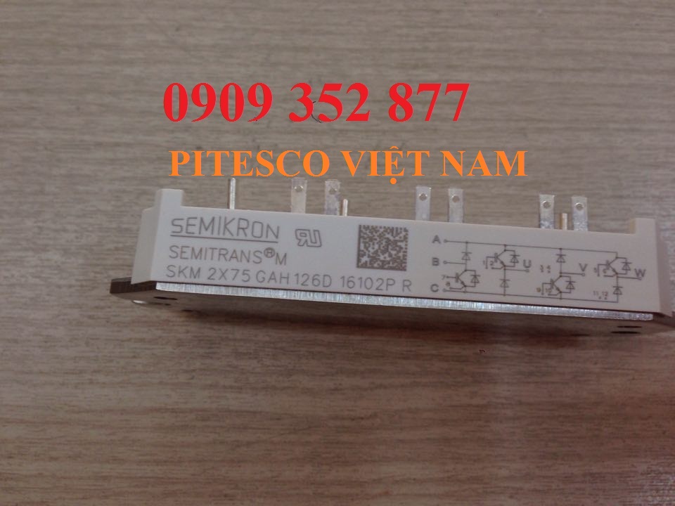 skm2x75gah126d-pitesco-viet-nam.png